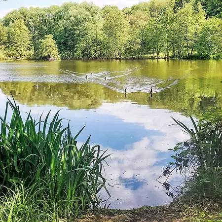 Martin By Interhome * Frankenau