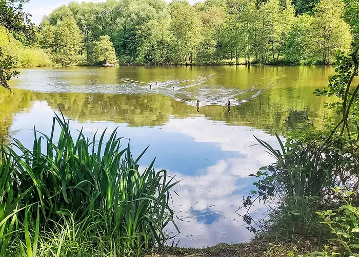 Martin By Interhome * Frankenau