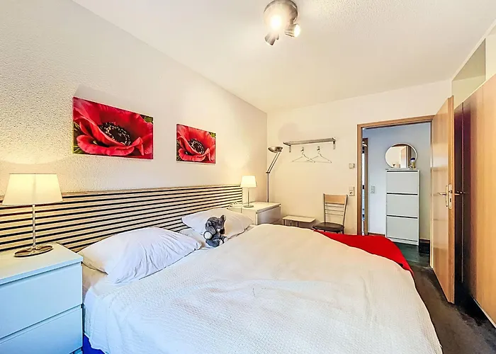 Martin By Interhome Frankenau